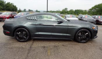 2015 Ford Mustang EcoBoost full