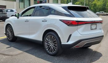 2023 LEXUS RX 350 Luxury AWD full