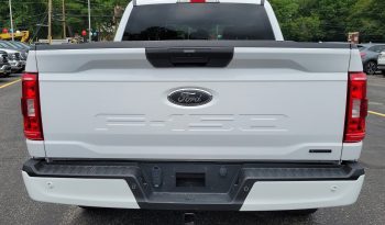 2021 Ford F-150 XL 4WD SuperCrew 5.5 full