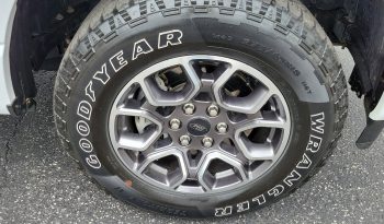 2021 Ford F-150 XL 4WD SuperCrew 5.5 full