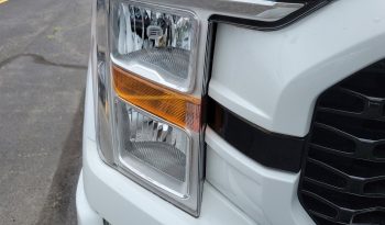 2021 Ford F-150 XL 4WD SuperCrew 5.5 full