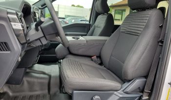 2021 Ford F-150 XL 4WD SuperCrew 5.5 full
