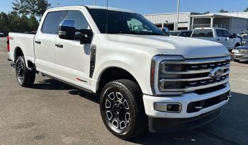 2024 Ford F-250 SRW Platinum 4WD Super Duty full