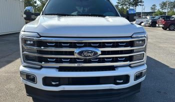 2024 Ford F-250 SRW Platinum 4WD Super Duty full