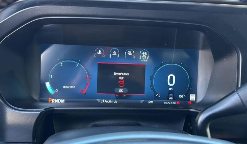 2024 Ford F-250 SRW Platinum 4WD Super Duty full