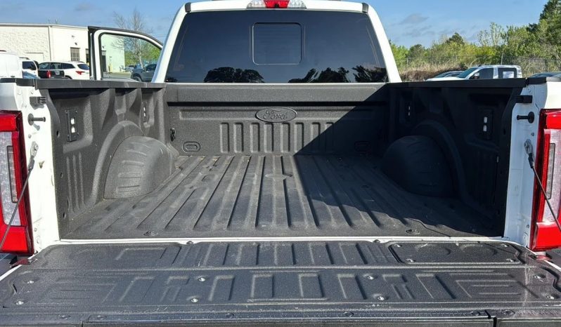 2024 Ford F-250 SRW Platinum 4WD Super Duty full