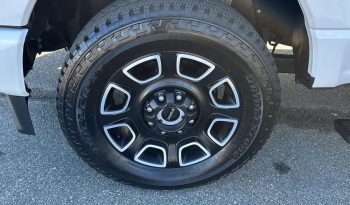 2024 Ford F-250 SRW Platinum 4WD Super Duty full