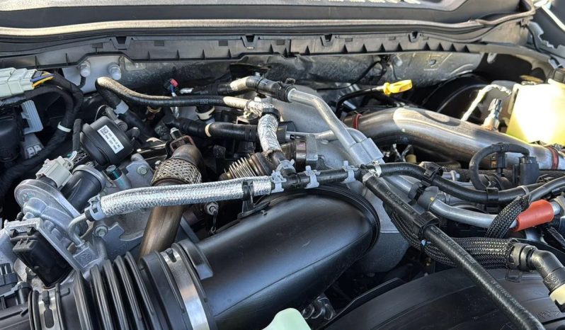 2024 Ford F-250 SRW Platinum 4WD Super Duty full