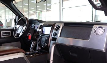 2013 Ford F-150 Platinum Heavy Duty full